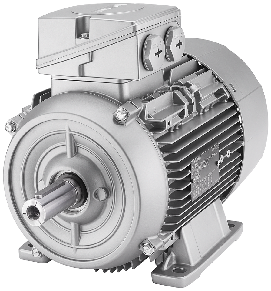 1LE1003-1DA33-4AA4 SIMOTICS GP motor type: 1AV3163A low-voltage motor,